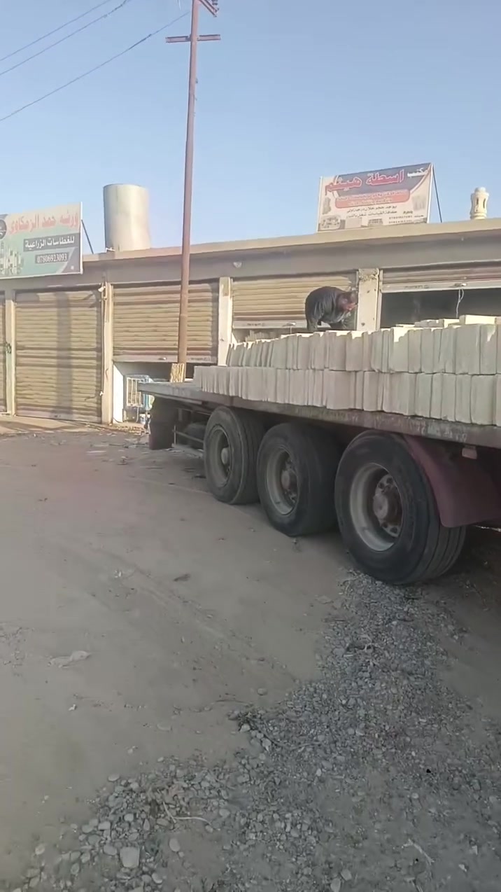 السلام عليكم
تم وبحمد الله وصول حلان كوبلان اصفر+اخضر 
كرسته وعمل تريد فقط مشتراه موقع الساحة قضاء الحويجه قرب صيطره الدبس سابقاً .....الاستفار الاتصال علا الارقام التاليه 

***********
***********
