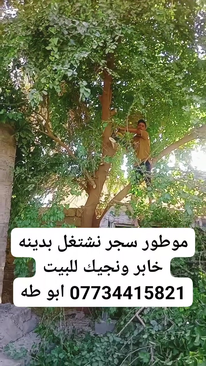 موطور سجر نشتغل بدينه خابر ونجيك للبيت *********** ابو طه

