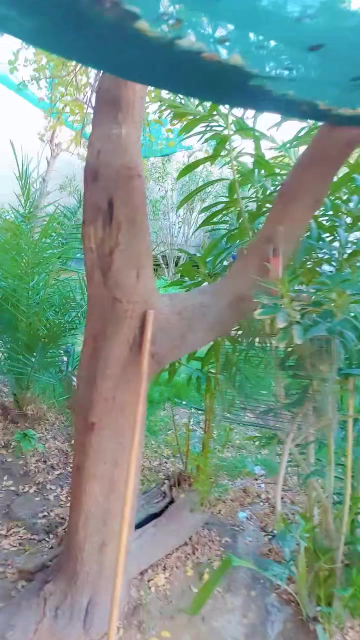 بيت في مجمع فدك خلف المجلس البلدي نهاية شارع المختار الفرع العريض واجهة ١٤متر ونزال ١٧ متر يحتوي على استقبال كبيرة وصاله وغرفة نوم واحدة مع حمام داخلي وخارجي ومطبخ السعر ٦٥ مليون
للاتصال ***********
