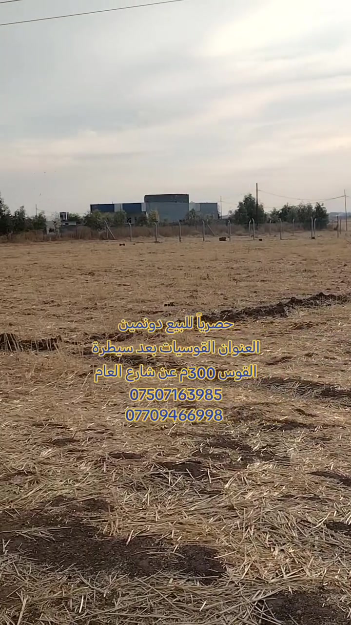 القوسيات • ٢٠٠٠م • أرض