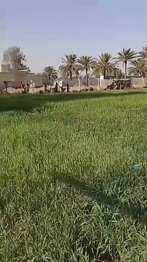 السلام عليكم قطعه ارض للبيع في العريفيه جسر ديالى الجديد 1000متر الاستفسار والاتصال على هذا الرقم ***********
