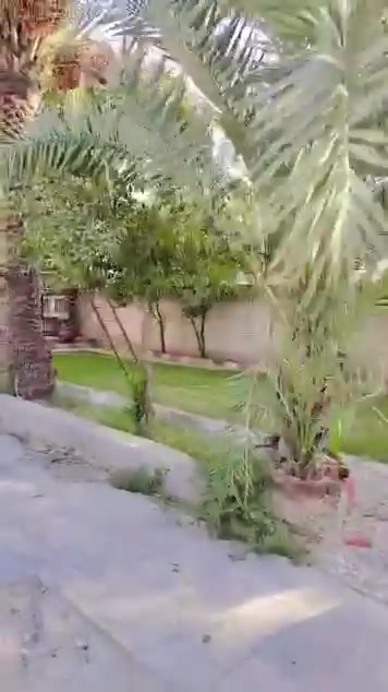 بيت مساحته ١١٧٦
الواجهه ١٤ و٣٠ تنزل ٢٢ يصير ١٩ و٣٠
النزال ٦٦
يحتوي على كراج وحديقه كما موضح في الفيديو 
مساحة البناء ٥٥٠ الطابق الاول يحتوي على صالة كبيرة كما موضح في الفيديو ومطبخ وحولي وحمام ١ تواليت ١ وحمام غساله + غرفتين وحده منهم نظام السويت
اما الطابق الثاني يحتوي على حولي و ٥ غرف نوم ٤ منهم نظام السويت + بلكونات ٢
وبيتونه وسطح
اما المساحه المتبقيه خلف البيت يرهم بيها بناء بيوت ٢
العنوان بغداد الشعب حي البساتين الضباط مقابل تقاطع عدن
للأستفسار الاتصال على هذا الرقم ***********
