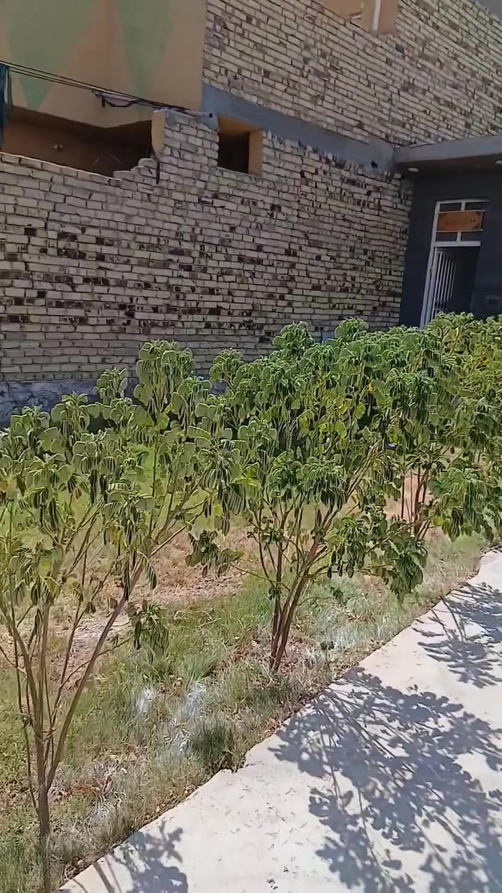 السلام عليكم دار للبيع شارع ٨٠ نجف قرب الساده البو خطه بحي النصر طابو سند ٢٥ مساحه ٢٠٠ متر بناء ١٠٠ مربع غرفه وصاله وكلدور مفتوح ويه المطبخ و١٠٠ حديقه وكراج صحيات داخليه وخارجيه البيت نظيف جدا وجاهز للسكن فارغ تسليم مباشر السعر ٧٠ وبي مجال قليل للستفسار *********** او على الوات ساب 
ملاحظه البيت وياه البردات والكاونتر والسنك سخان بي ماطور ماء بي جاهز للسكن
