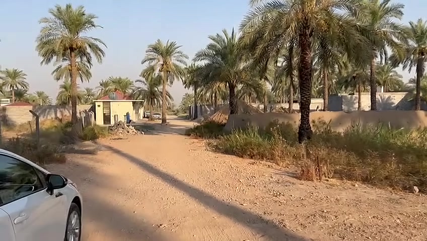 بغداد الراشدية • دونم • طابو صرف