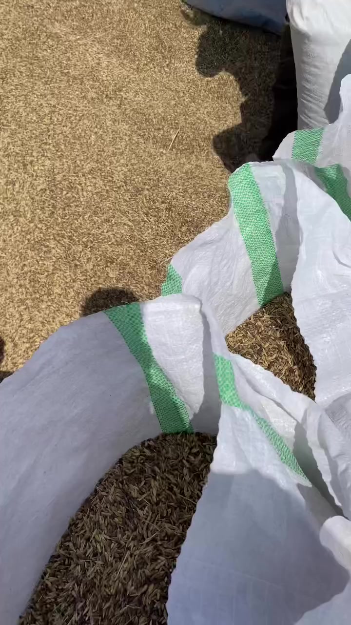 للبيع • باك • جوان
