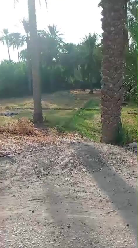 قطعة أرض • للبيع