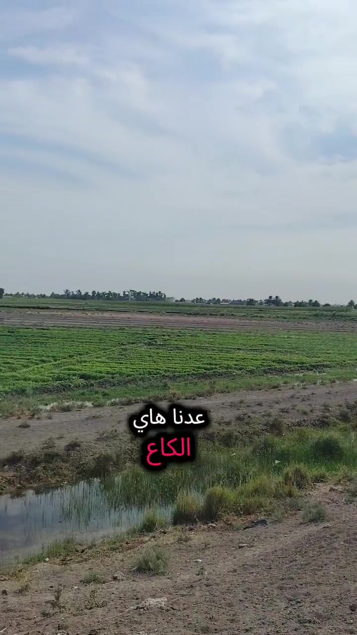 ٤دونم • طابو زراعي • سند ٢٥