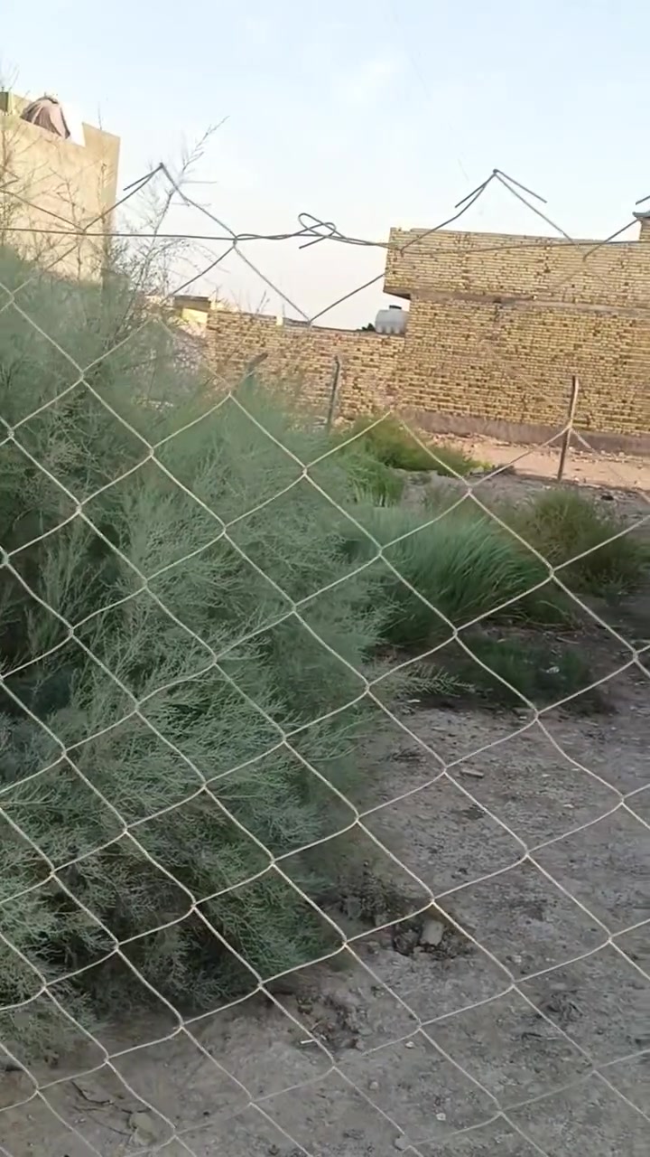 قطعتين للبيع الاولى 220م خلف حمزه الكريشي ابو المعرض  مسيجه بي ار سي ماء كهرباء  والثانيه مجمع عبد الله محمد كامل مقابل واطئ الكلفه مساحتها 200 ركن شارعين تبليط   ماء كهرباء مسيجه بي ار سي  سند 25 بأسمي.   ***********
