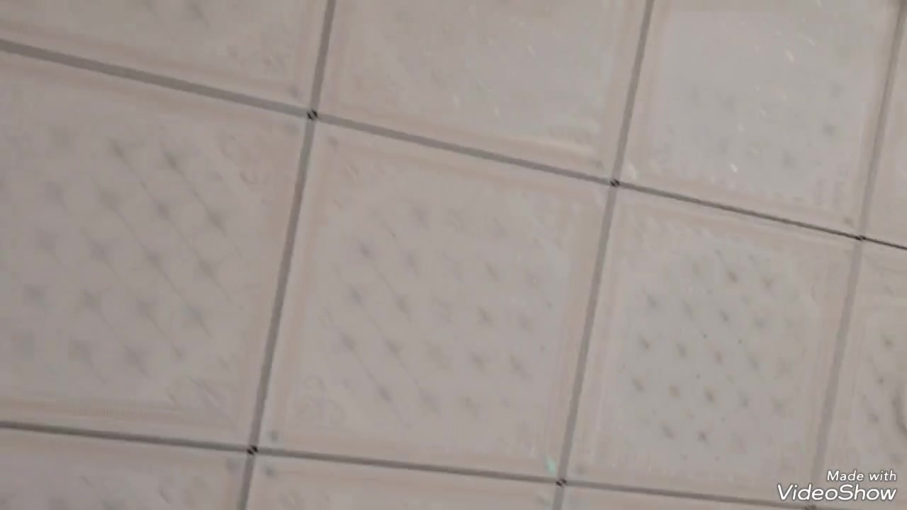 شقه • ايجار • القادسيه