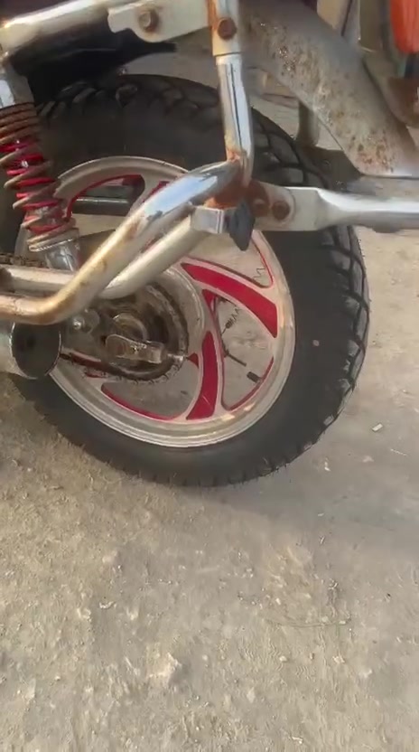 هوندا • راعية
