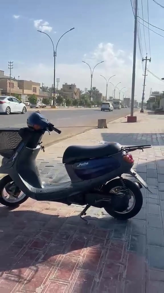 منغولي • ٦٠ • جديده