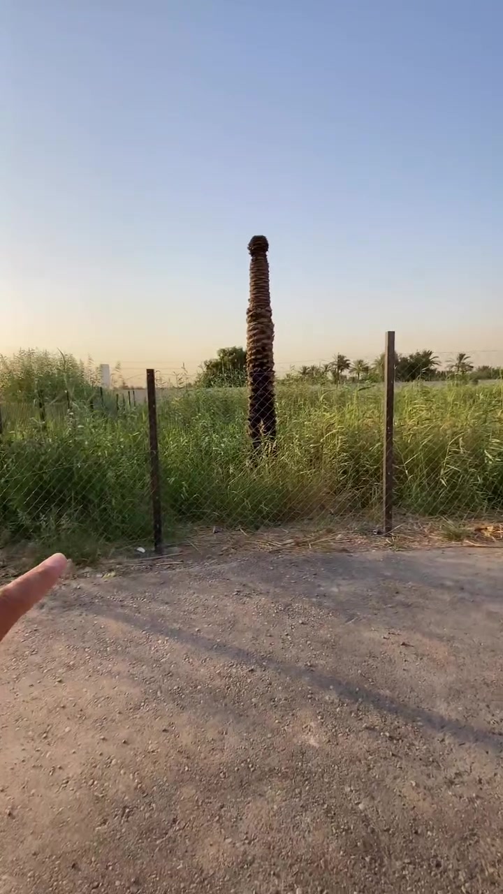 عندي زراعي ملك صرف موقع مو طبيعي الدورة خلف كلية الفارابي المربع الرئاسي على نهر دجلة خلفه المحرم فقط مساحة 4000 متر الواجهة 110 متر والنزال 37 متر استثمارية 100‎%‎ تباع نص او كاملة او الاف للاستفسار اتصل ***********
