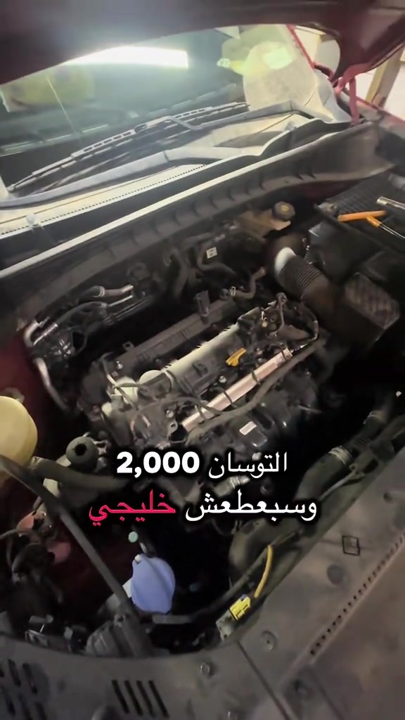 توسان • بلكات أصلية • الغزالية