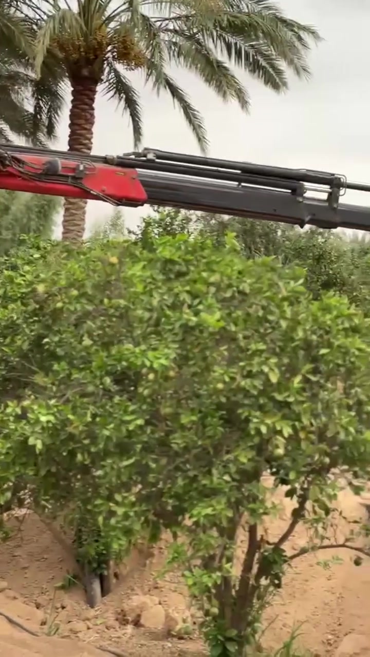 بلوك الباوي • جودة عالية • بعقوبة