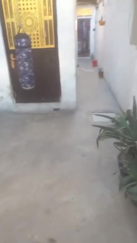 الدار للبيع المساحة ١٢٥ م واجهه ٥ نزال ٢٥ الشعب الديوان خلف شارع ٤٠ طابو ملك صرف باسمي يحتوي على كراج صحيات خارجيه مدخلين مجاري حديثه شغلها مع بواري الماء جديده بناء نص قديم نص جديد وترميم جديد البيت باسمي إني صاحب البيت سعره ١٥٠ مليون وقابل للتفاوض هذه رقمي *********** متواجد وات ساب
