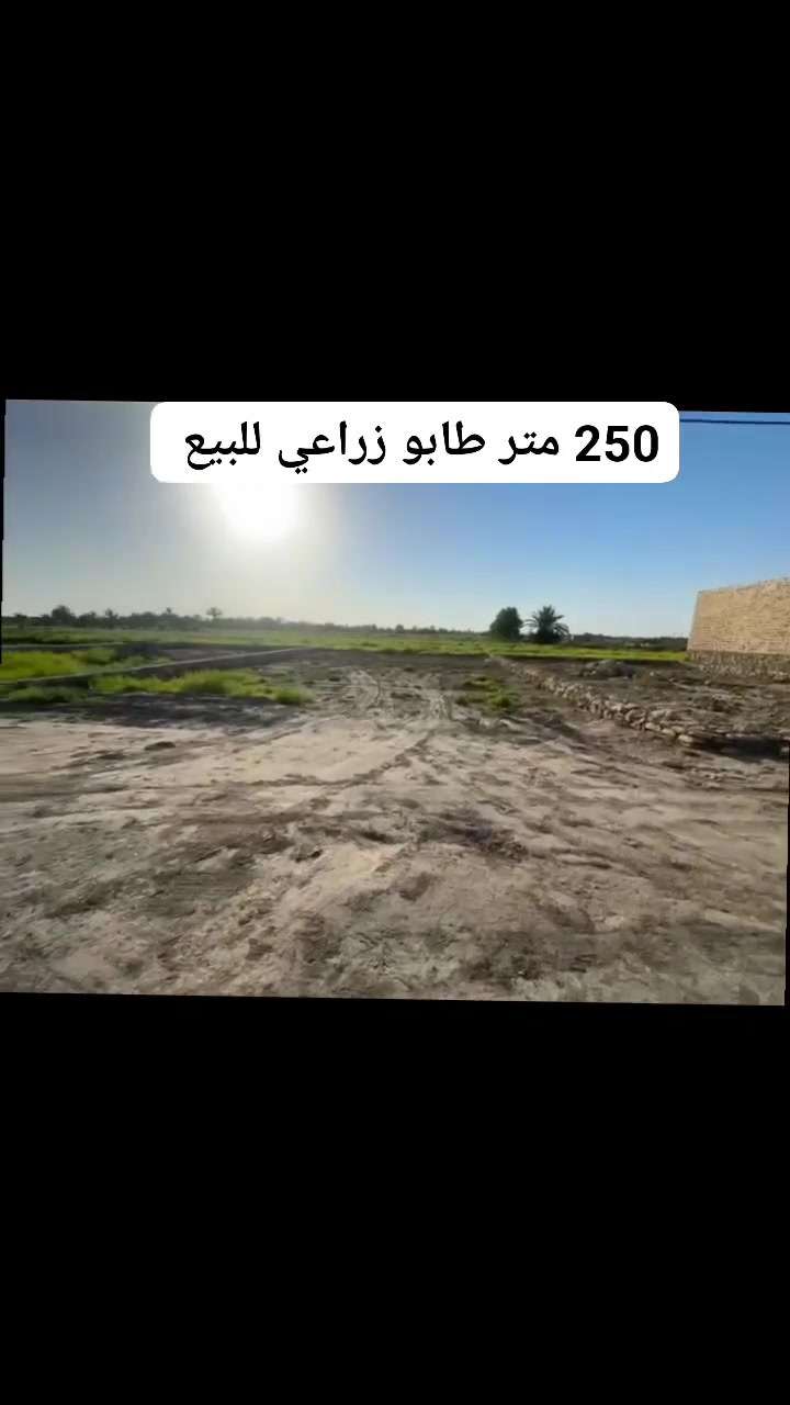 #ياالله_بسعر_مناسب_250متر_طابو_زراعي
الموقع الرميثه قرب حولي البندقيه 
التفاصيل كامله داخل الفيديو 👇 
للتواصل والاستفسار واتساب او اتصال 
***********

#قطع_سكنيه
#طابو_زراعي
#عقارات_الرميثه
