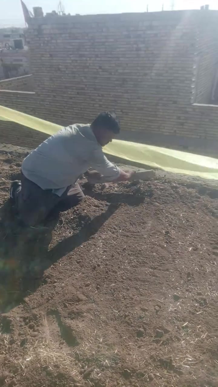 السلام عليكم كادر عمال تصعيد كافة مواد البناء على الضهر رمل طابوك فر مستون سيراميك كاشي تكشير حيطان تفليش صب البيوت تطليع تراب قلع كاشي قلع سيراميك غسل لبيوت تصعيد تراب السطح وحدل نقل اثاث البيت *********** خابرني وبخدمتك
