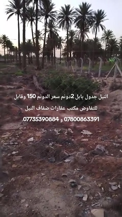 عرض مغري وفرصة لمن يبحث عن إنشاء مزرعة أو سكن 
ارض مساحة 2 دونم طابو زراعي واجهة 25 متر 
الموقع على جدول بابل مباشر تبعد عن ناحية النيل مسافة كيلو وشوية . لها ثلاث طرق الطريق الاول من جهت ناحية النيل قرب الجسر العبار على الناحية قبل الجسر تاخذ يمنة مباشر وعند وصولك إلى الجدول تاخذ مباشر يمنة مسافة 400 متر 
والطريق الثاني خدمي طريق حلة كيش قرب معمل ماء صحة ومعمل الصب تاخذ يمنة وعند وصولك إلى الجدول تاخذ يسرة مسافة 500 متر 
والطريق الثالث من بدايت الجدول من طريق جسر الانضباط مباشر مع الجدول مسافة 3 كيلو 
السعر  سعر الدونم 150 وقابل للتفاوض 
مكتب عقارات ضفاف النيل 
***********
***********
#عقارات #بابل #النيل #مزرعة #مزارع
