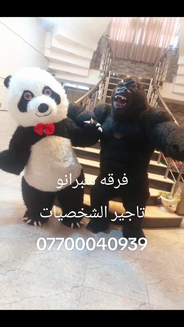 فرقه سبرانو سبرانو 🥁🎺 تأجير غوريلا 🦍🦍 فرقه موسيقيه لاحياء جميع الأعراس والمناسبات 🥁🎺 للحجز ***********

