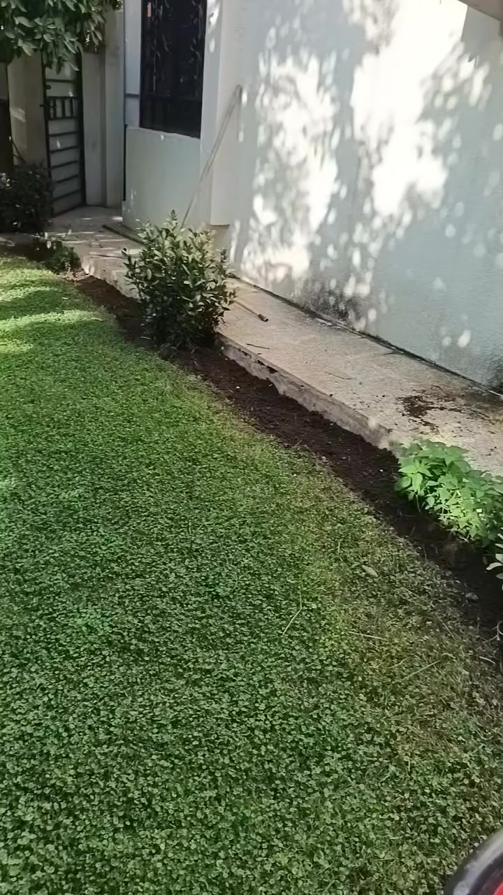 شغل حدايق • خدمات حدايق