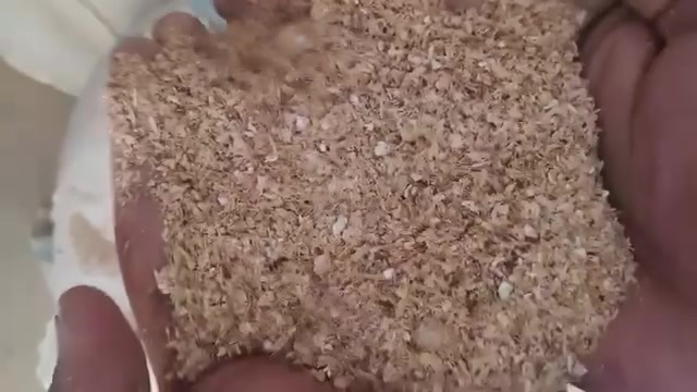 نخالة عراقية • خشنة • مطروح