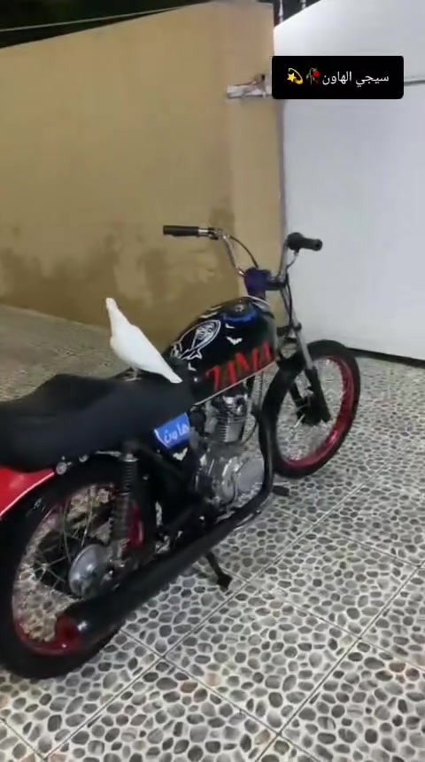 سيجي ام حربه للبيع موديل 26 شاصي 26 دراجه لوك صار 25 يوم أمعمر صفر بعده شاصي رفيع كل عيب مابي سعر 680 بي مجال للطيبين مكاني كركوك ***********
