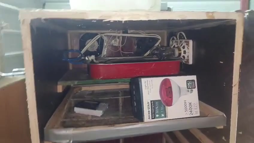 سلام عليكم فقاسه مال بيض اي بيض ايصير بيهه تفقيسهه كلش حلو الفقاسه اشيل 600بيضه فقاسه جاهزه من كلشي تجي تفحصهه وتاخذهه وتطلع اي غلط  بيهه تاخذهه بلاش سعر الفقاسه 140والحاضنات مال كتاكيت هم جاهزات من كلشي شغالات سعرهن ثنينهن100وبيهن مجال العنوان بغداد التاجي اركيه وفاضل الرقم ***********
