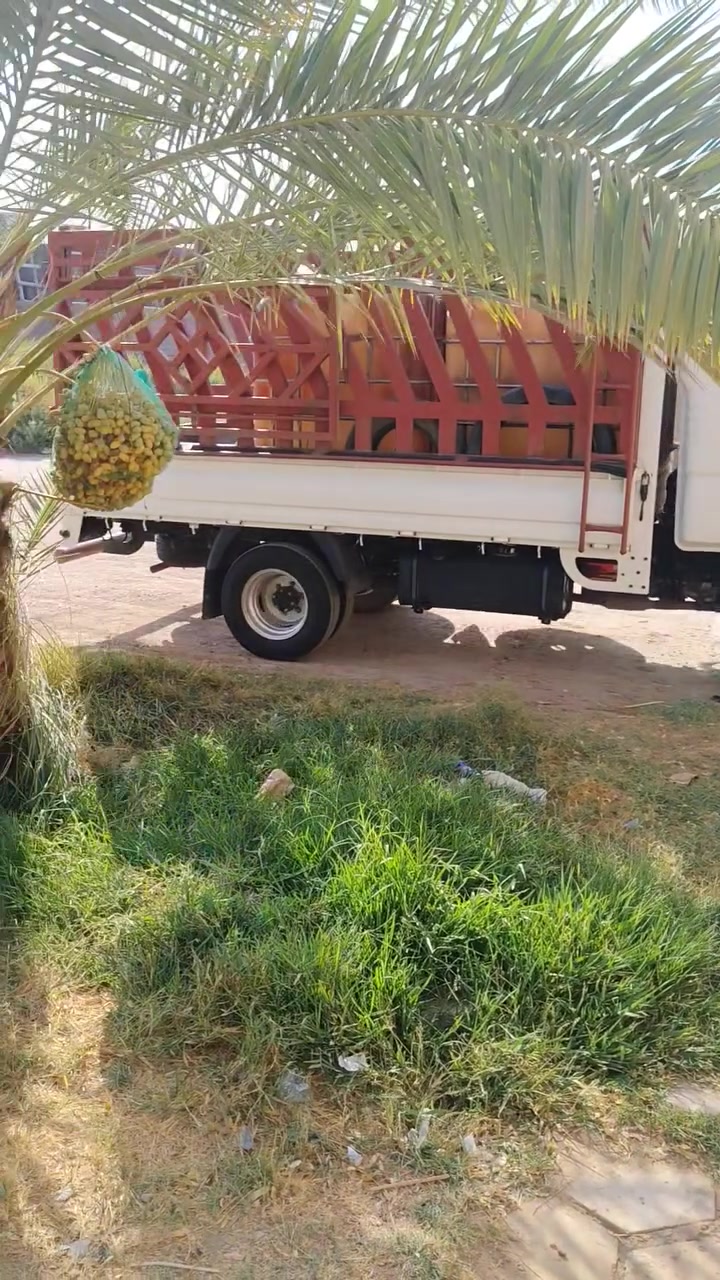 فحل ٢٢ قادسيه مبدل بنيد ***********
