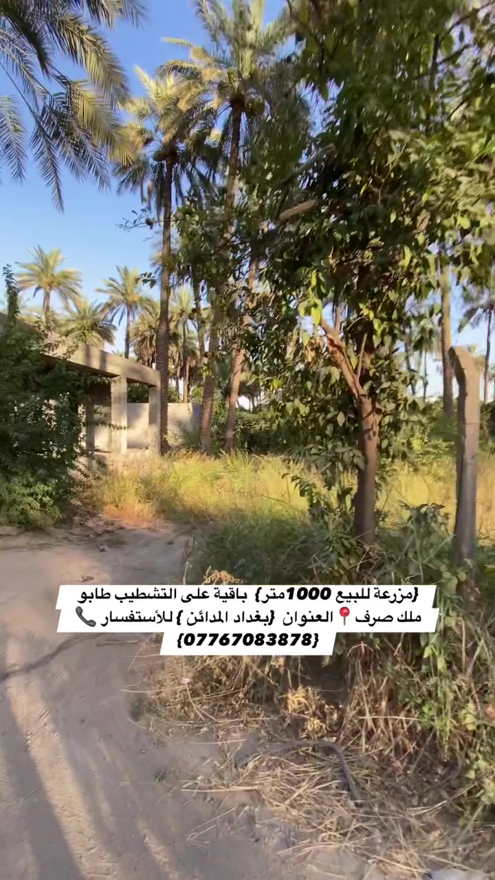 السلام عليكم {مزرعة للبيع 1000متر}  باقية على التشطيب طابو ملك صرف📍العنوان  {بغداد المدائن } تبعد عن سدة باوي 200 متر ترهم استثمار ايجارات  للأستفسار 📞{***********}
وجه الأرض 40 متر 

  #مزرعة #مزارع #مقاولات #عقار #عقارات
