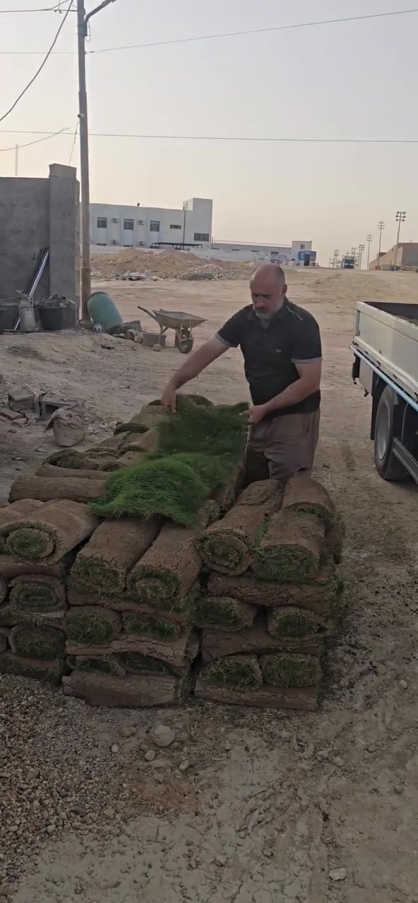 سلام عليكم  
الحمدلله  تم وصول الثيل الهندي نوع ممتاز   الى مشتلنا.   في قضاء راوه. قرب مركز شرطة راوه  
***********
***********
