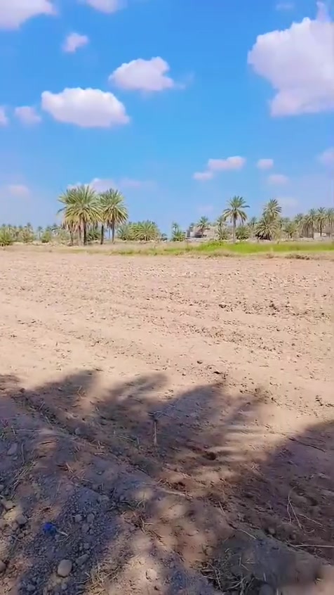 بسم الله الرحمن الرحيم 
تتوفر  وقطع  #سكنيه مختلفه #للبيع #زراعي تحويل بسم المشتري 
التعامل مع صاحب الارض مباشر
 تصلح مزارع او سكن  بأسعار مناسبه الموقع في #محافظة #بابل #الحله #سند25 #تحويل بأسم المشتري مباشر 
#توجد #قطع #مساحه #مختلفه @#للبيع #في #بابل 
@#يوجددوانم_للبيع
@#يوجدنص_دونم 
@#يوجدمساحه1000_متر 
@#يوجدمساحه750_متر
@#يوجدالمساحه500_متر
@#يوجد_المساحه250_متر 
#ويوجد #دوانم #تصلح #مزارع  و #سكن #طريق حله نجف نزله الامام بكر  ابن علي عليه السلام اوتنزل الى مقام نبي الله ابراهيم الخليل خلف المقام  خلف المقام بواحد كيلو #السعر  اوباقي التفاصيل على  الخاص  اوالاتصال 
  ***********  اتصال 
***********  واتساب
#الجميع_عام_ارض_زراعي_للبيع
#الجميع_عام_اراضي_زراعي_للبيع_حله_بابل_دوانم_للبيع_الج #مزارع #دوانم#بابل_حله #زراعي#@الجميع@المتابعين@الاصدقاء
@إشارة
