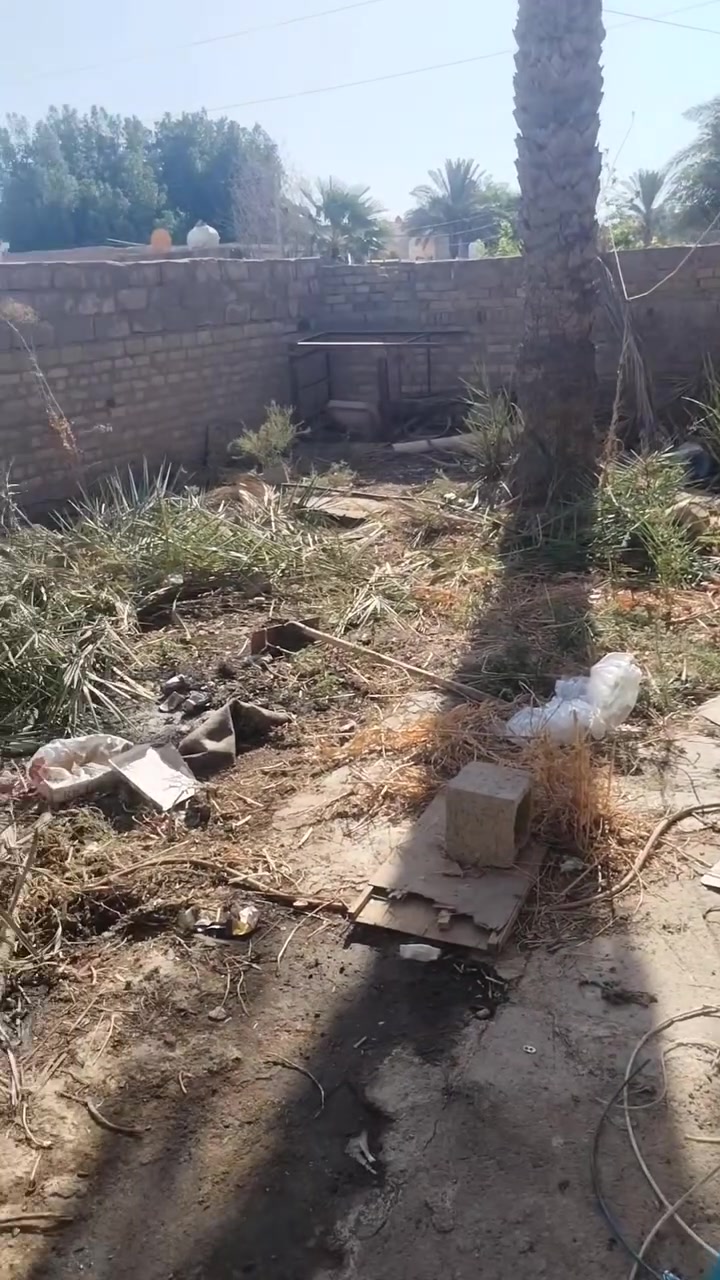 السلام عليكم لعمل الحدايق العامه والمنزليه اشتغل  وزرع تنضيف حدايق ترتيب قص ثيل مع ستوته نقل مخلفات.   والرزق على الله كل ماعليك مراسلت الصفحه او الاتصال ***********
