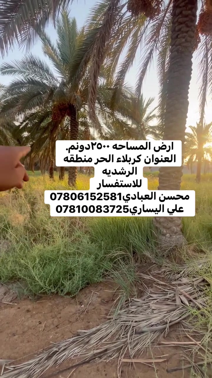 ارض المساحه 2500متر دونم 
نوع العقار طابو زراعي سند 25
العنوان كربلاء الحر الرشديه
للاستفسار 
***********محسن العبادي
***********علي اليساري
