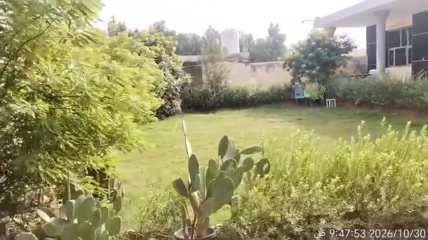 بغداد • ٢٠٠٠م • طابو صرف