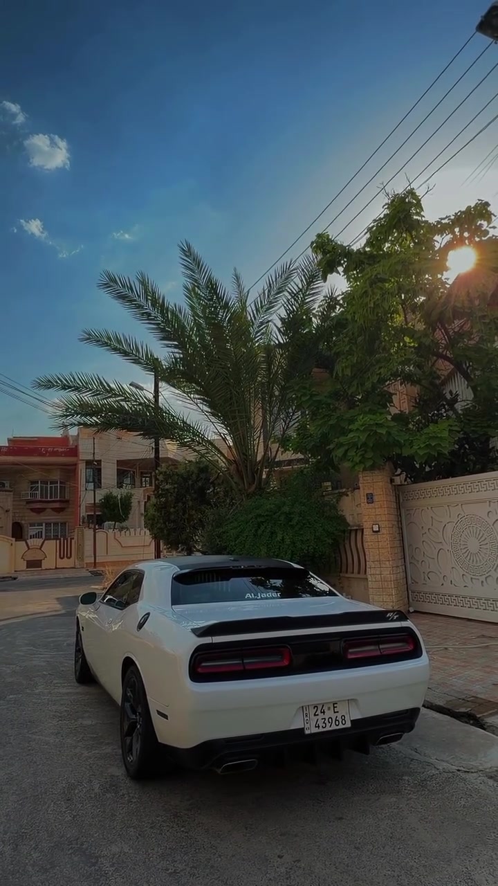 جالنجر 2023 • بدون صبغ • برمجه 340 ويل
