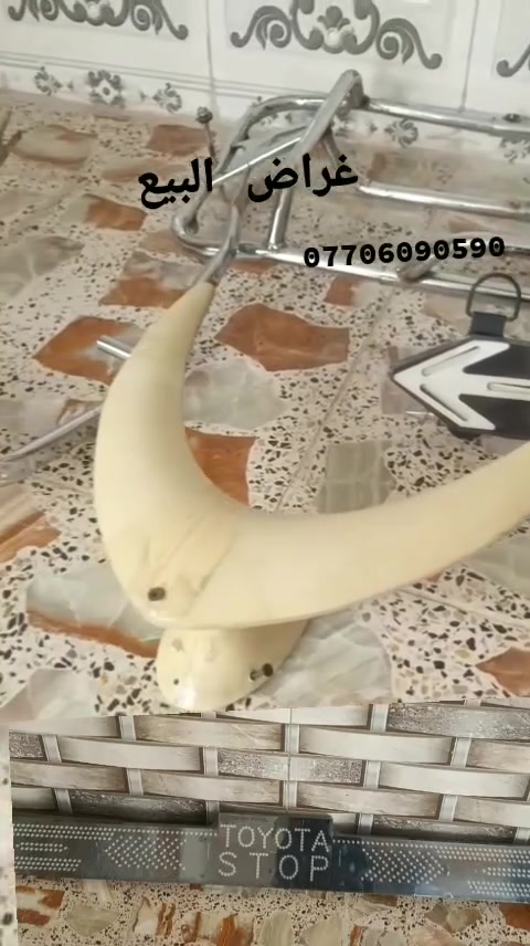 اكسسوارات سيارات • بدون تفاصيل • بيش