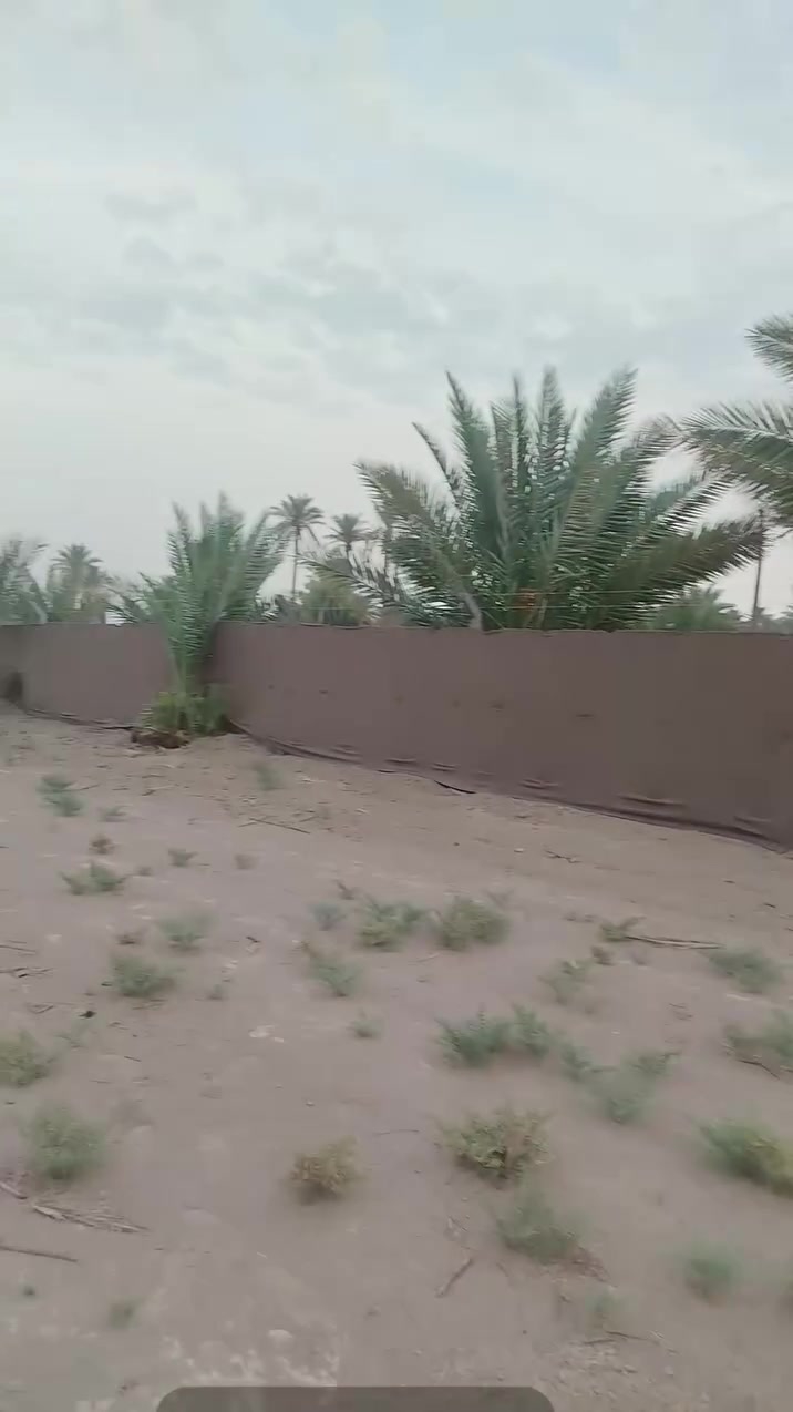 حله ابو غرق • دونم وربع • طابو زراعي