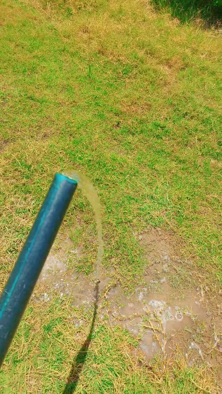نص دونم • خلف جامعة بابل • سند ٢٥