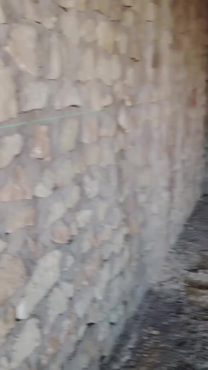 ما شاء الله، إنجاز يجمع بين السرعة، والدقة، والإتقان هو المعادلة الصعبة في أي عمل، والاعتراف بفضل الله عز وجل هو أساس التوفيق والبركة.
للحجز والاستفسار ***********
