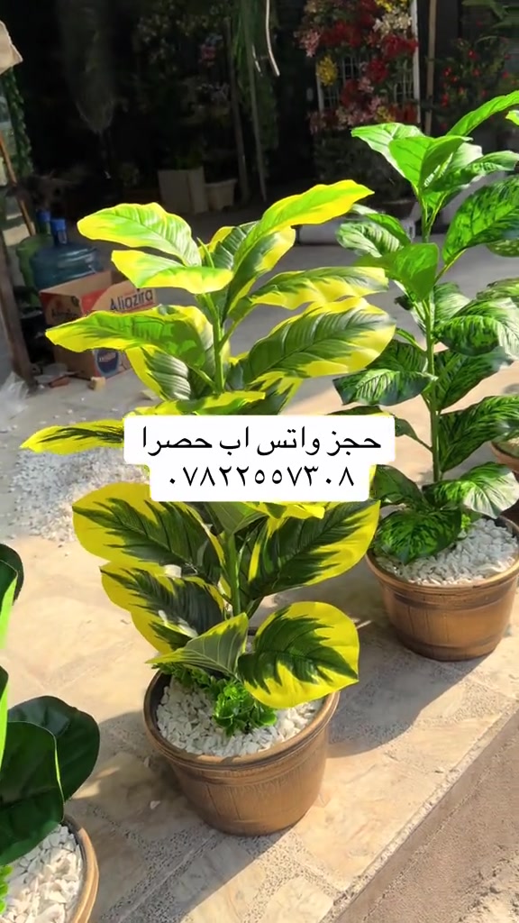 دلع بيتك • توصيل كل العراق • بغداد الغدير