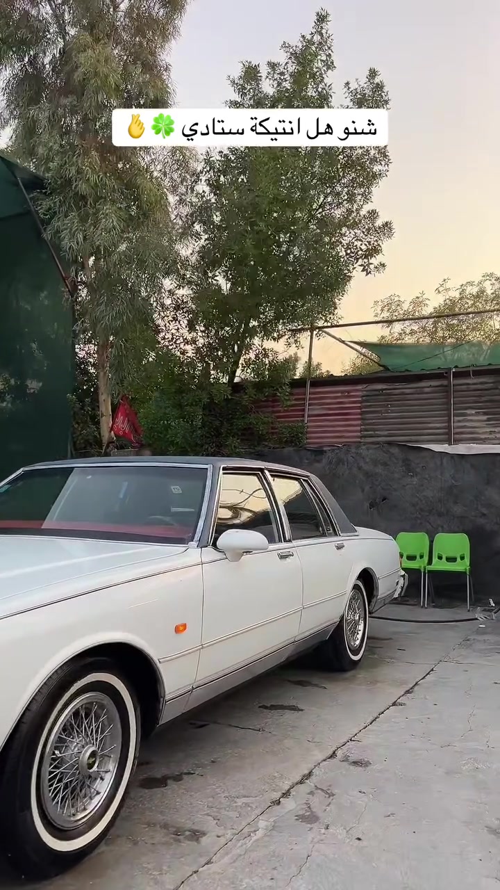 سلام عليكم كابرس LS رقم بغداد نكليزي باسمي موديل 1989 اصل
سياره متعوب عليه وبس جناي يعرف قيمته 
مكينه بلادي ٨ سلندر ٣٠٥ كير ٧٠٠ شعله ومعدل شك كاع    تبريد ثلج عليه كبريسر ياباني وغاز فرنسي قمارن هسه مشتغليه جديده محرك لا صرف ولا بخار 
فيتبم ودووش جدد داينمو رياضي بيه باتري جديد 

تخم تاير صالي  شهر من شديته  مكاني بغداد شعله 
سعر ٥٥ وبيه مجال ***********
