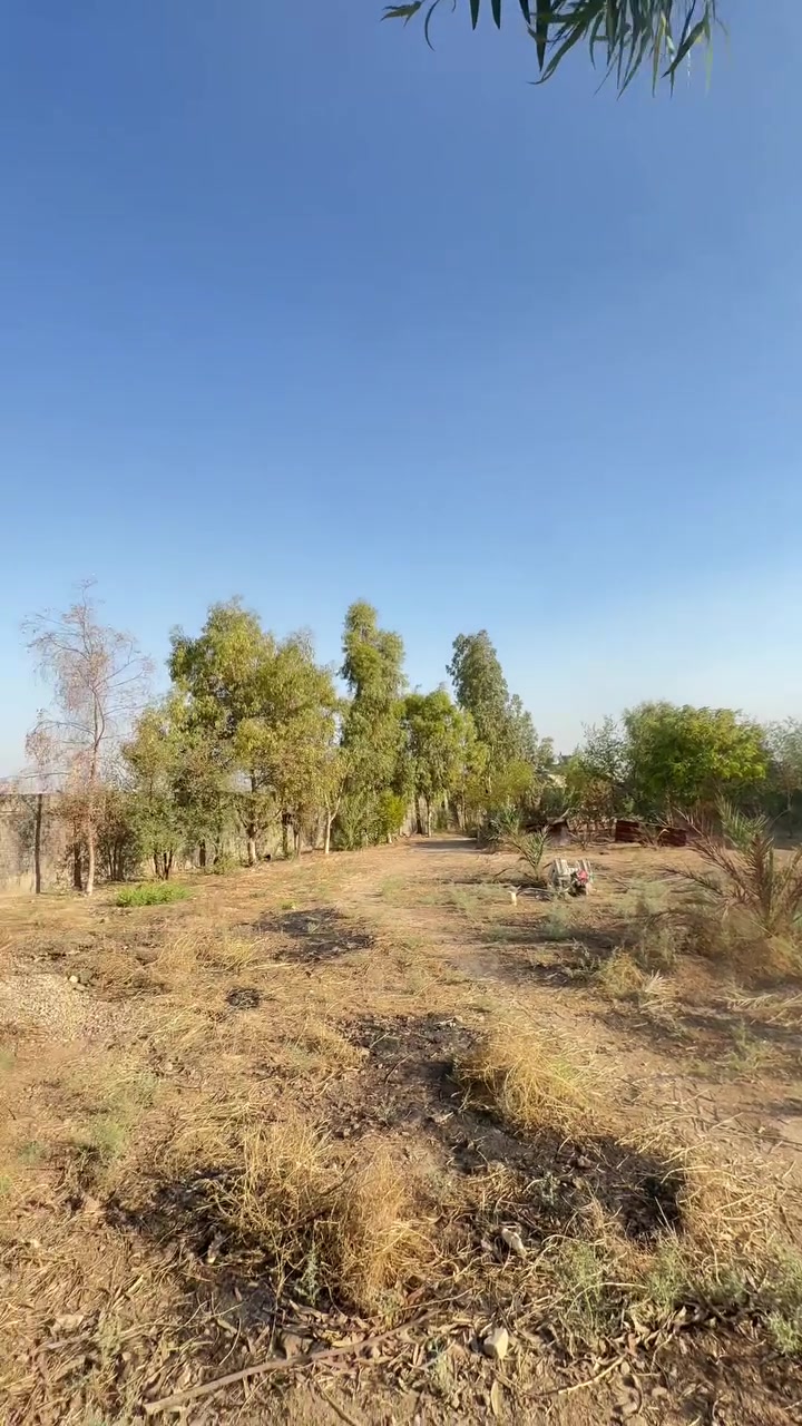 يالله السلام عليكم ئخوان دونم مربع ركن للبيع تريد نص دونم هم نبيعلك يحتوي ع بيت 300 متر صب مسلح وطابوك ودنك صب  الاستفسار اكثر *********** موقعه ثعالبه قرب مجبل قريب ع مستوصف مال مشروع
