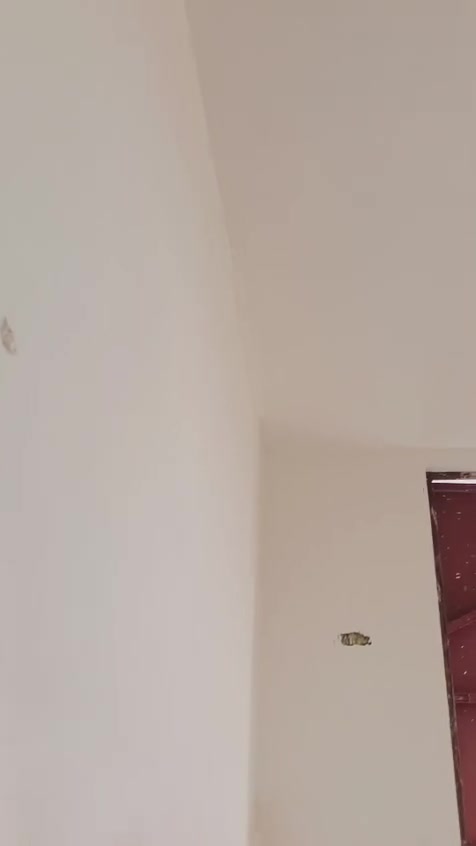 مستعدون لعمل  البخ
سمنت جص بورك  واجهات تقطيع
شغل مصاطر دقه والتزام بلعمل
ملاحظة العمل. بلمتر فقط ناصريه 
هاتف ***********
