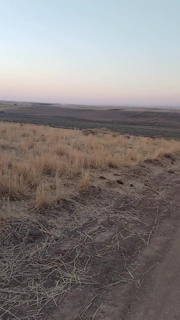 وعليكم السلام

🌾 *نص دونم للبيع - خلف معمل غاز جورج*

- *الموقع*: ركن على شارع 10 متر، نظام مزارع
- *المساحة*: الوجه 56 متر × النزال 17.5 متر
- *البُعد*: يبعد 200 متر عن شارع التبليط
- *الخدمات*: ماء وكهرباء قريب
- *السند*: زراعي 25، حق التصرف. إصدار جديد 2026
- *السعر*: 22 مليون وبيه مجال
- *للاستفسار*: 
 ***********
 *********** (واتساب)

تريد أضيف "موقع استثمار ممتاز" بالإعلان لو نخليه بس تفاصيل؟
