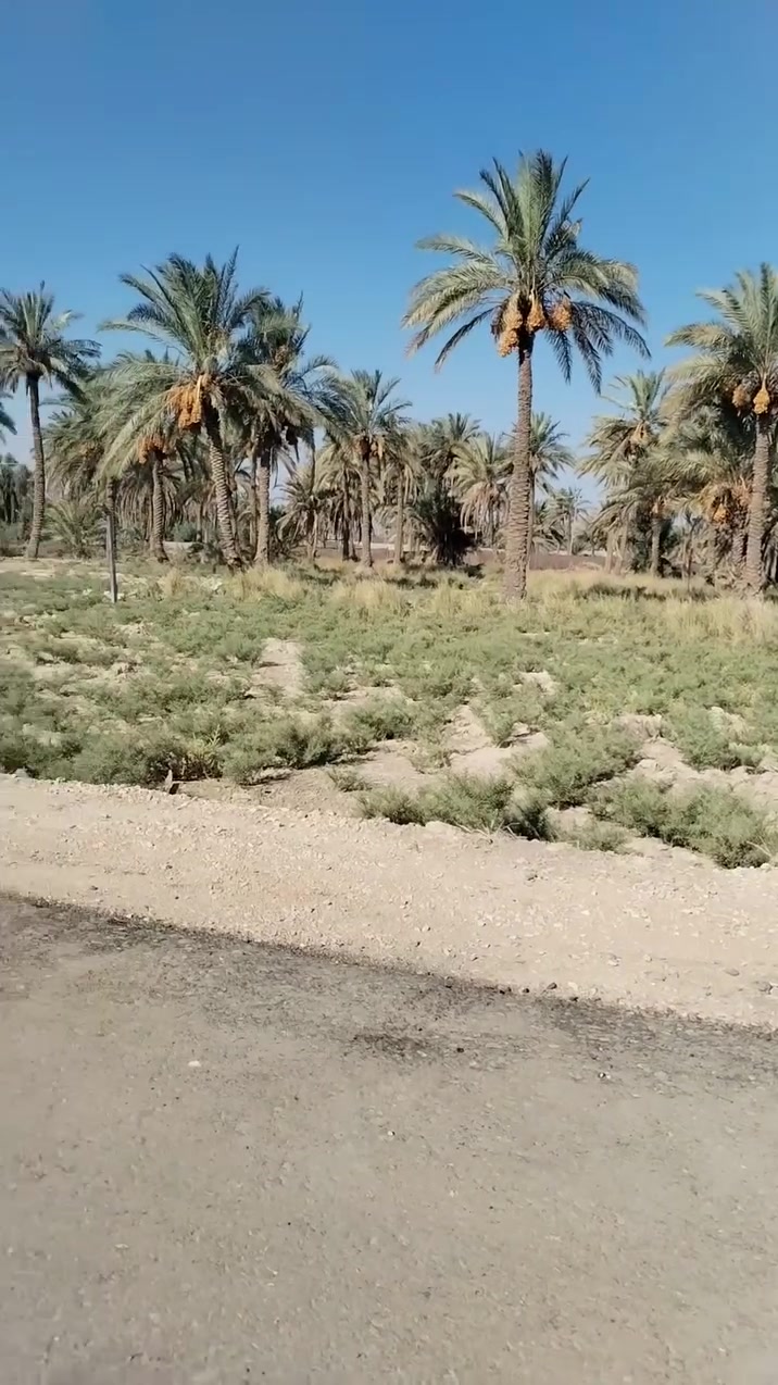 سلام عليكم قطع اللبيع المساحه 400 تنباع 200و 400
خدمات كامله تبليط ماء كهرباء اناره الشارع 8متر الستفسار كثر ***********
