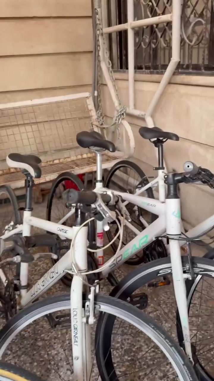 عرض خاص بايسكلات c700 المنيوم
متوفر لدى متجر Dream Bikes شارع فلسطين خلف بانزين خانة المهندسين ***********
