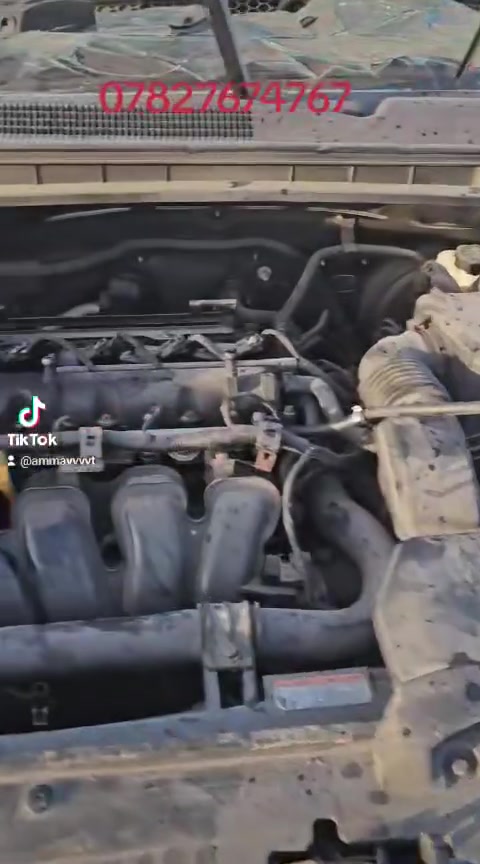 لا توجد تفاصيل
