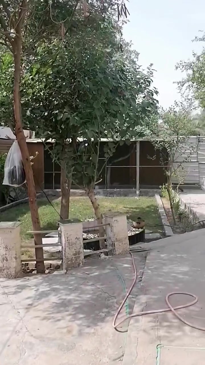 ابوالخصيب • ٥٦٠م • على الشط