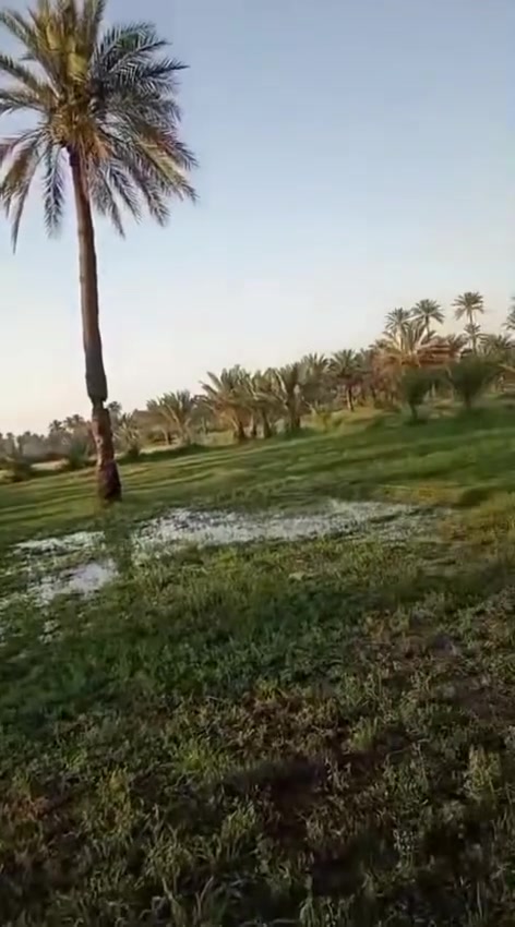 3 دونم.  و.500متو    للبيع على التبليط مباشر واجه 28 م  مع 3 بيوت مساحة كل بيت 150م طابو سند 25 سند مستقل (تحويل سند بإسم المشتري) متوفرة كافة الخدمات/تبليط/ماء/ كهرباء/ مدارس/مركز صحي/الموقع كربلاء - منطقة ابو عطر نزلت ال جميل شارع نجف كربلاء عمود 1140 وتنزل 4 كيلو عن شارع الزوار تبعد عن مركز مدينة كربلاء 15 كيلو 

***********
