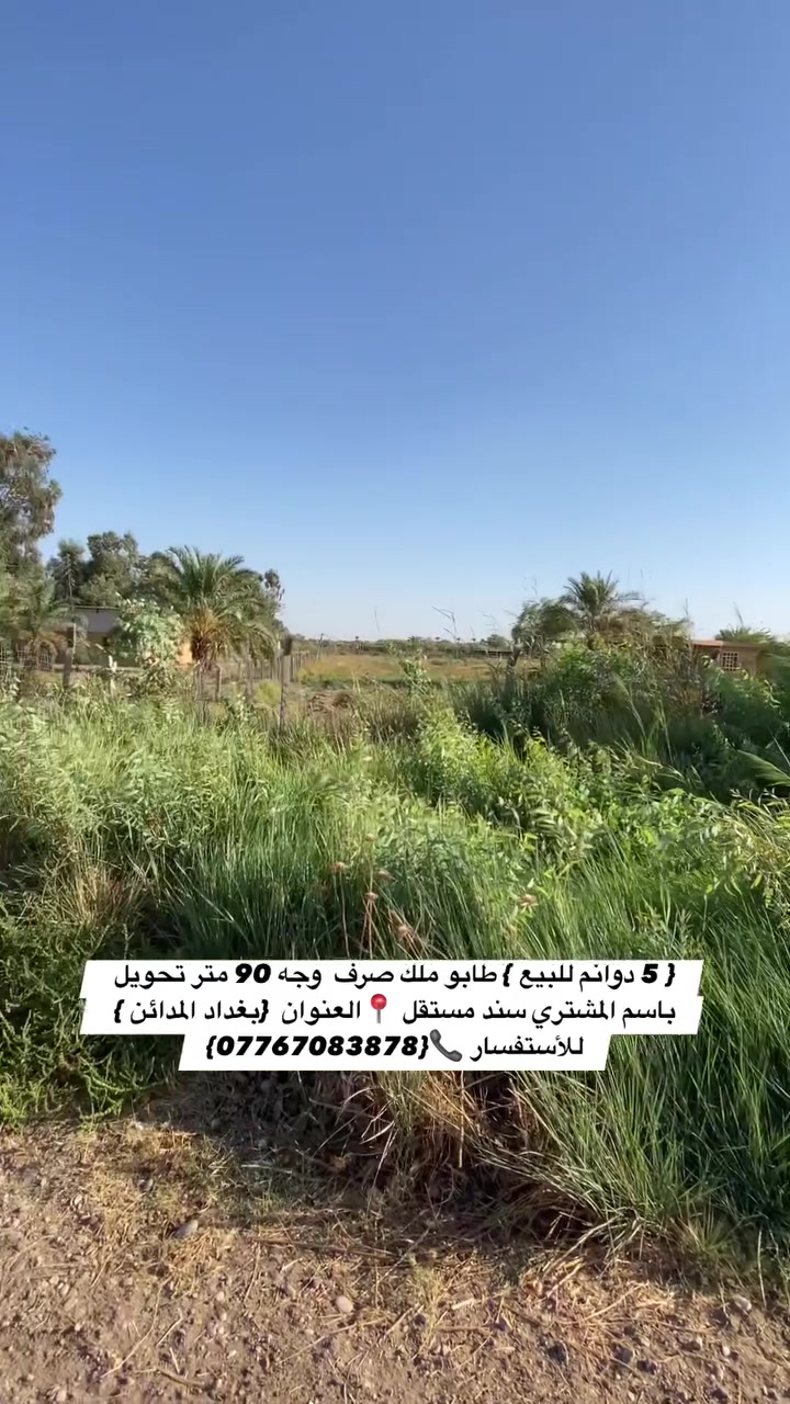 السلام عليكم { 5 دوانم للبيع } طابو ملك صرف  وجه 90 متر تحويل باسم المشتري سند مستقل تباع حسب الطلب 📍العنوان  {بغداد المدائن } منطقة الجعارة كامل خدمات تبليط مي اسالة وكهرباء  
للأستفسار 📞{***********}

 #دوانم #مزارع #مزرعة #عقارات #مقاولات
